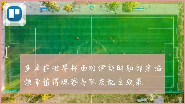 多库在世界杯面对伊朗时肋部穿插频率值得观察与队友配合效果